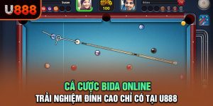 Trải Nghiệm Cá Cược Bida Online Đỉnh Cao Chỉ Có Tại U888