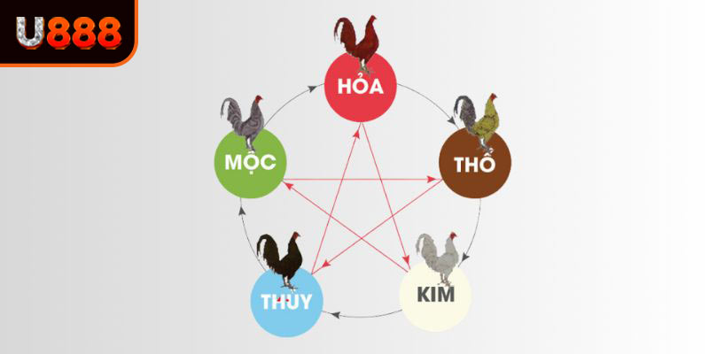 Tầm quan trọng của màu mệnh